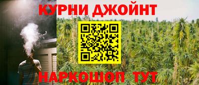 стафф Гусев