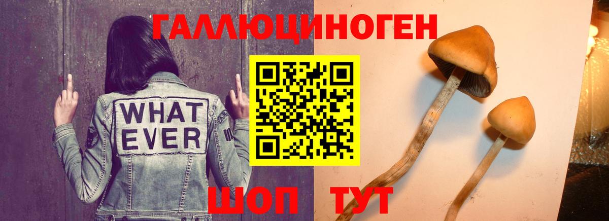 Галлюциногенные грибы ЛСД  Вход с VPN  Галлюциногенные грибы ЛСД  Нижний Новгород 